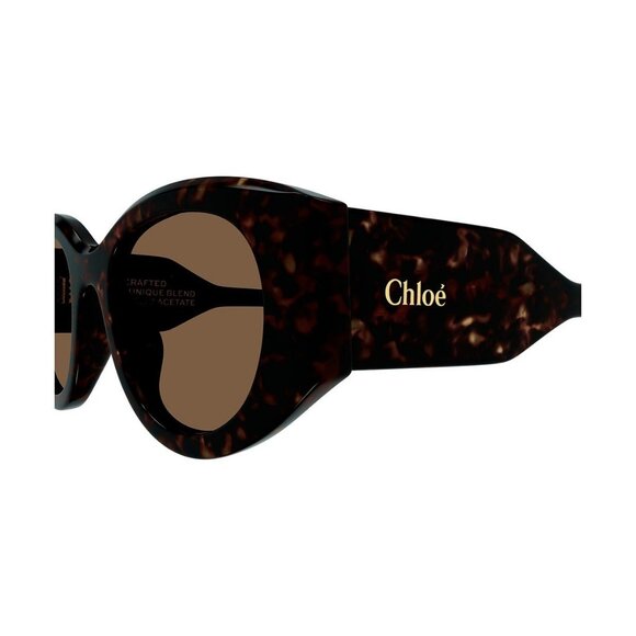 New CHLOE Havana Square CH0251S 002 Sunglasses Women - Picture 3 of 4